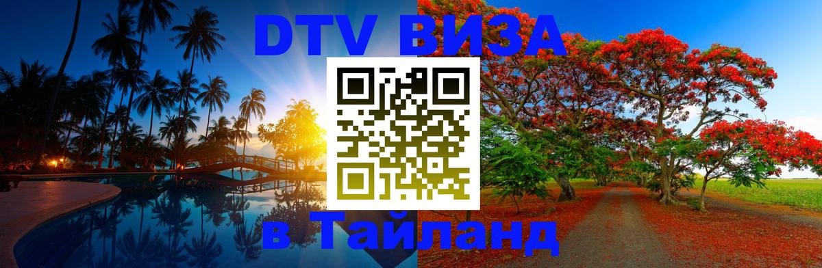 Сколько стоит DTV виза — актуальные цены, оформление даже без документов - Самара 