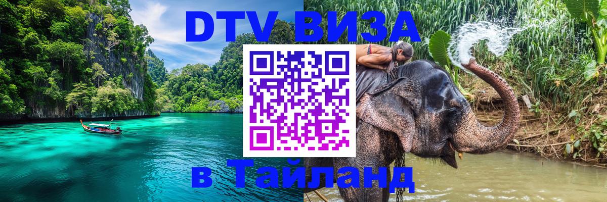 Оформление DTV визы под ключ: стоимость и тарифы, только загранпаспорт - 